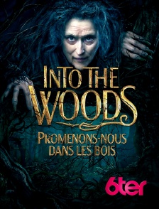 6ter - Into the Woods : promenons-nous dans les bois