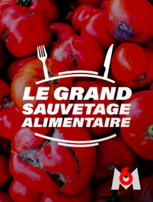 M6 - Le grand sauvetage alimentaire