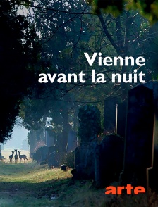 Arte - Vienne avant la nuit