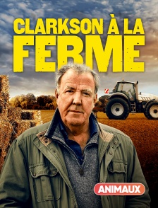 Animaux - Clarkson à la ferme