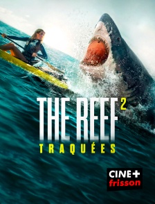 CINE+ Frisson - The Reef 2 : Traquées