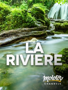 Molotov Channels - La rivière