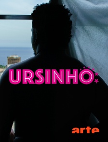 Arte - Ursinho