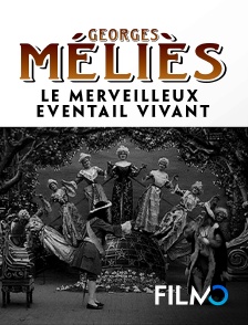 FilmoTV - Le merveilleux éventail vivant