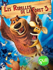 Gulli - Les rebelles de la forêt 3