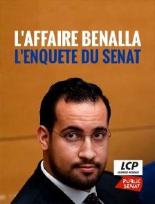 LCP Public Sénat - L'affaire Benalla, l'enquête du Sénat