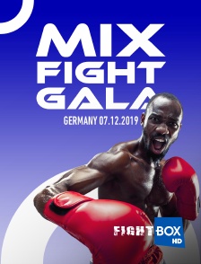 FightBox - Mix Fight Gala, Frankfut, Germany, 07.12.2019