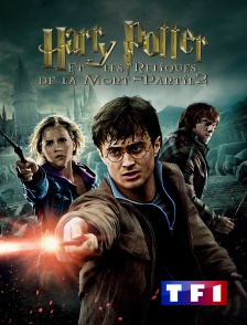 TF1 - Harry Potter et les reliques de la mort : partie 2