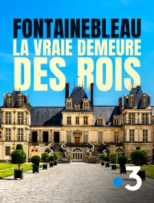 France 3 - Fontainebleau, la vraie demeure des rois