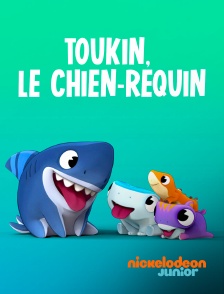 Nickelodeon Junior - Toukin, le chien-requin