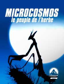 Paramount Channel Décalé - Microcosmos, le peuple de l'herbe