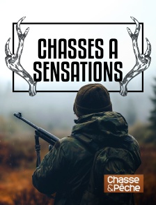 Chasse et pêche - Chasses à sensations