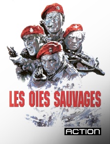 Action - Les oies sauvages