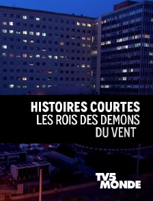 TV5MONDE - Le roi des démons du vent