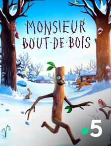 France 5 - Monsieur Bout-de-Bois