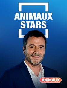 Animaux - Animaux stars