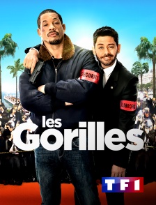 TF1 - Les gorilles