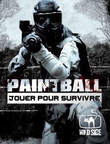 Wild Side TV - Paintball : jouer pour survivre