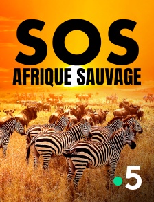 France 5 - SOS Afrique sauvage