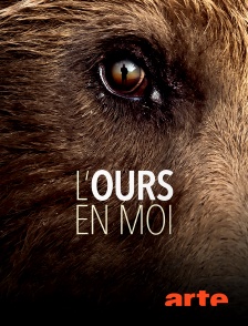 Arte - L'ours en moi