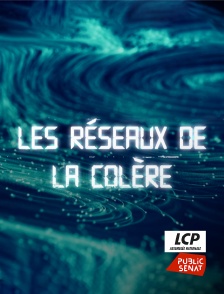 LCP Public Sénat - Les réseaux de la colère