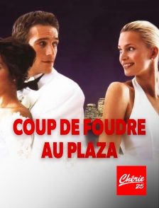 Chérie 25 - Coup de foudre au Plaza