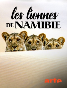 Arte - Les lionnes de Namibie : Reines de la côte des Squelettes