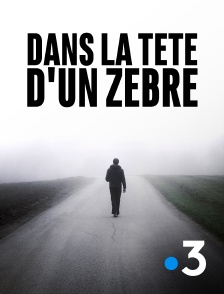 France 3 - Dans la tête d'un zèbre