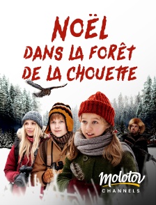 Molotov channels - Noël dans la forêt de la chouette