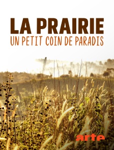 Arte - La prairie : un petit coin de paradis