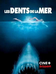 CINE+ Frisson - Les Dents de la mer