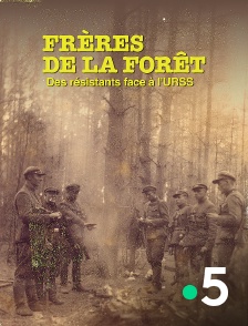 France 5 - Frères de la forêt, des résistants face à l'URSS en replay