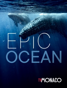 TV Monaco - Epic Oceans