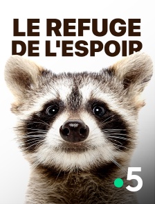 France 5 - Le refuge de l'espoir