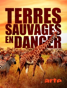 Arte - Terres sauvages en danger