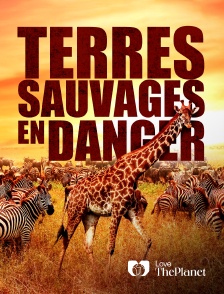 Love the Planet - Terres Sauvages en Danger