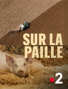 France 2 - Sur la paille