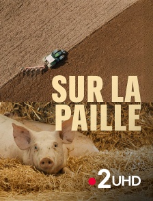 France 2 UHD - Sur la paille