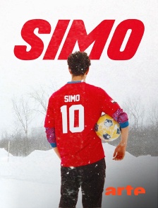 Arte - Simo