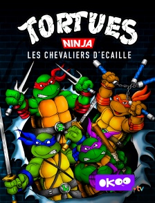 Okoo - Tortues Ninja : les chevaliers d'écaille