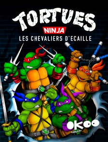 Okoo - Tortues Ninja : les chevaliers d'écaille