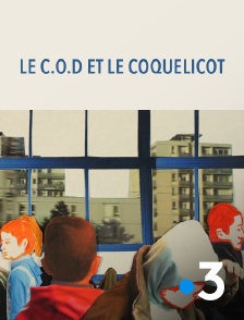 France 3 - Le C.O.D. et le coquelicot