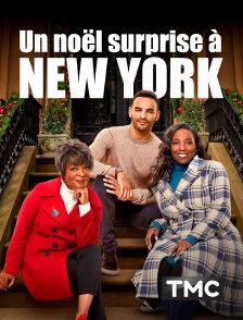 TMC - Un Noël surprise à New York