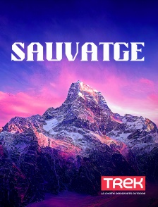 Trek - Sauvatge