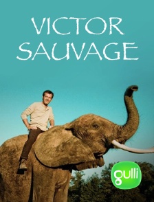 Gulli - Victor Sauvage