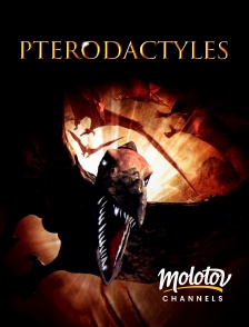 Molotov channels - Ptérodactyles