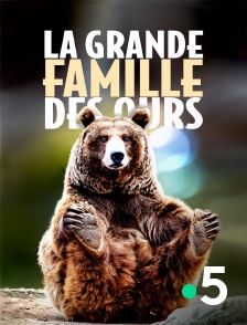 France 5 - La grande famille des ours