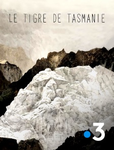 France 3 - Le tigre de Tasmanie