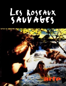 Arte - Les roseaux sauvages