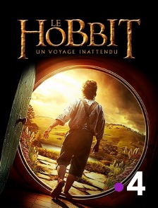 France 4 - Le Hobbit : un voyage inattendu